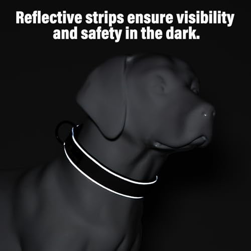 Tactical Dog Collar (XL / Brown)