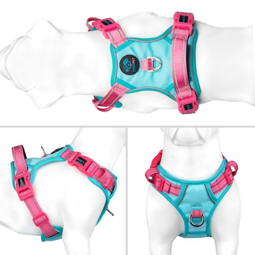 No Pull Dog Harness (Mint Green Base & Pink Straps / Large)