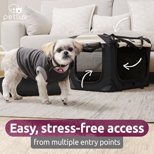 Cat & Dog Carrier (Black / Medium)