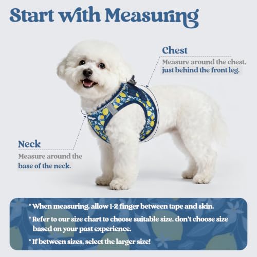 Dog Harness Small Sized and Leash Set (Navy Lemon / Xs (chest: 13.3 - 15.5"))