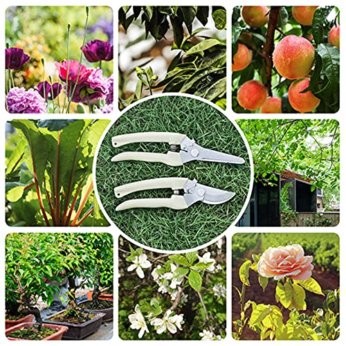 Premium garden shears