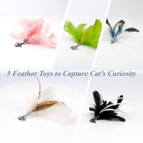 12PCS Interactive Cat Feather Wand Toy Set