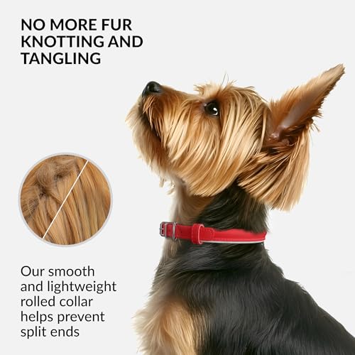 Tangle Free Reflective Leather Dog Collar (Red / XL)