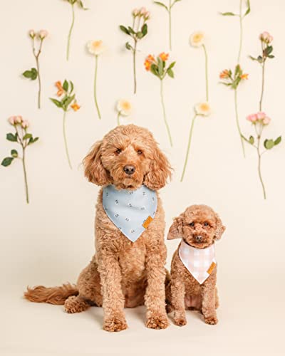 Emily Spring Dog Bandanas Large (Large)