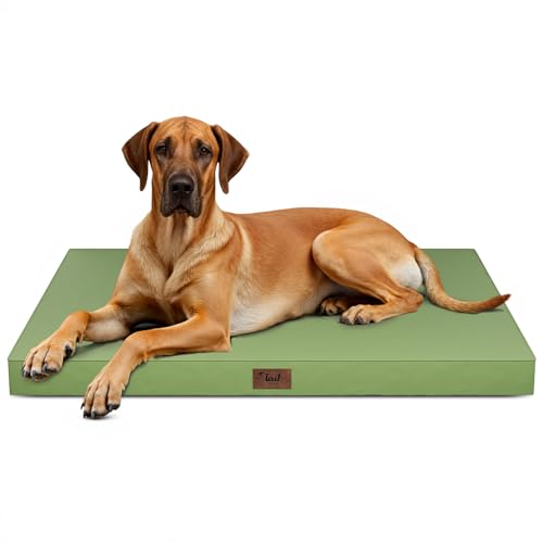 Jumbo Waterproof Orthopedic Dog Bed for Extra Large Dogs (Light Green / 53.0"L x 36.0"W x 4.0"Th)