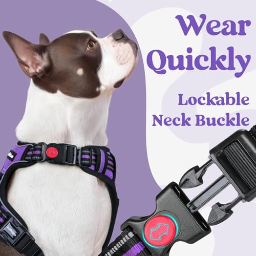 Dog Harness for Large (Large / Purple)