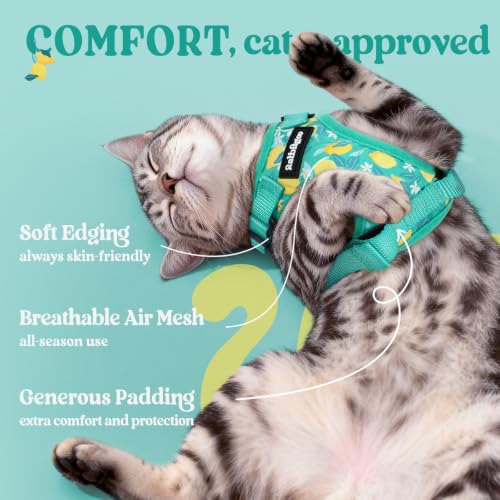 Cat Harness and Leash Set (Xs / Lemon Grove)