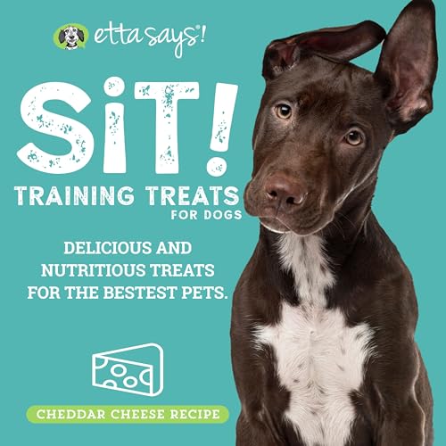 Sit Training Treats