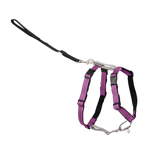 3 in 1 Dog Harness (Plum / Small (Pack of 1))