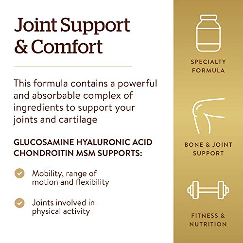 Glucosamine Hyaluronic Acid Chondroitin MSM (60 Count (Pack of 1))