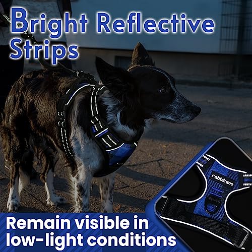 Dog Harness No Pull for Large Dogs with 2 Leash Clips (X-Large / Blue Plaid)