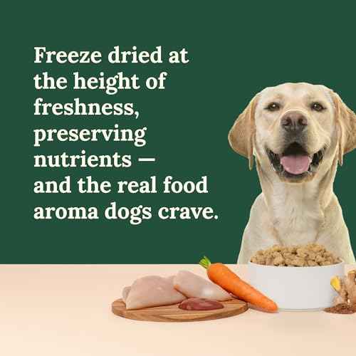 Freeze Dried Raw Dog Food (1 Pound (Pack of 4))