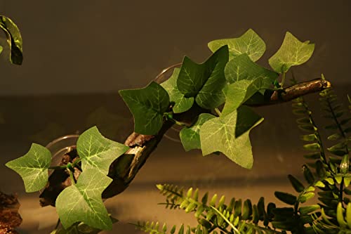 Reptile Corner Branch Terrarium Plant Decoration with Suction Cup for Amphibian Lizard Snake Climbing (Climbing Branch)