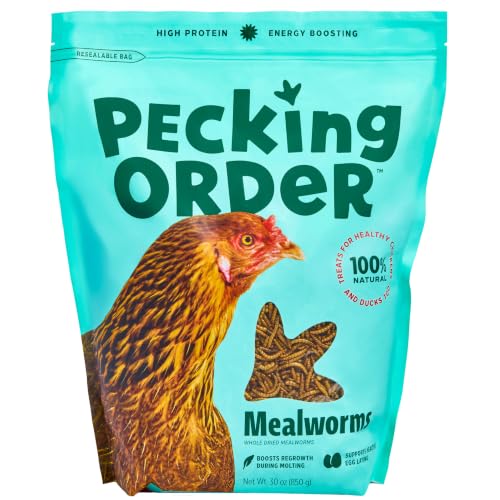 Dried Mealworms (1.88 Pound (Pack of 1))