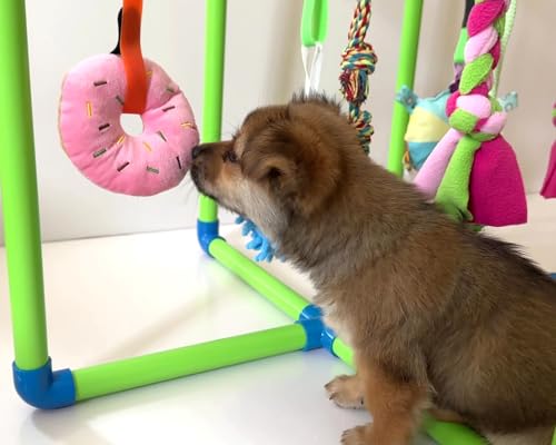 Puppy Play Gym with 9 Hanging Toys for Small Dogs to Keep Them Busy