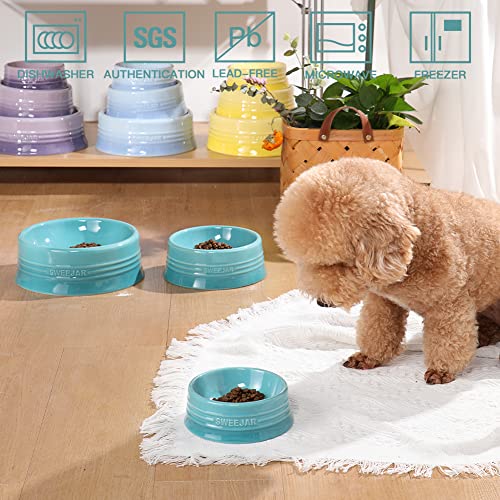 Sweejar Gradient Dog Bowl (Large (32oz) / Gradient Blue)