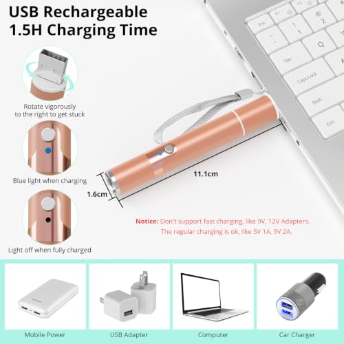 Cat Toy with Metal Case (Rose gold)