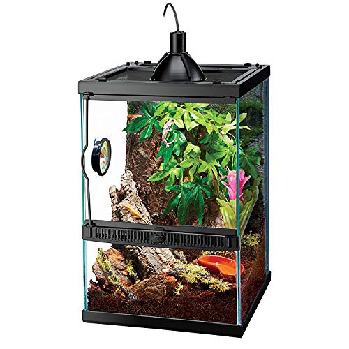 11 Gallon Glass Tropical Vertical Terrarium Kit (Terrarium)