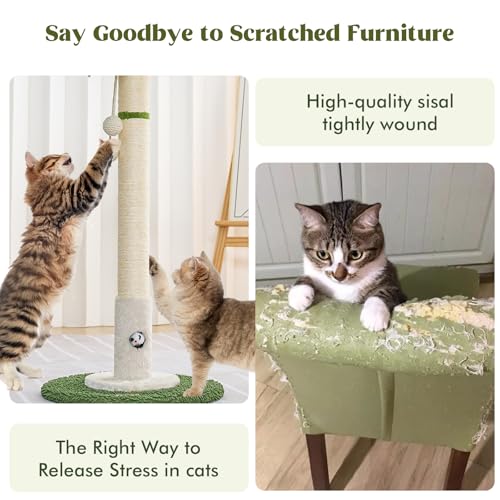 Cat Scratching Post for Indoor Cats (35.4-White / 35.4in)