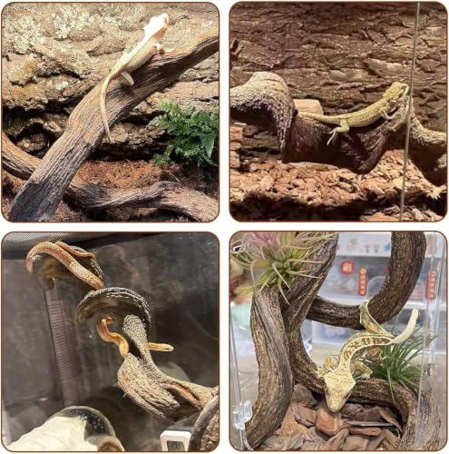2PCS Natural Reptile Climbing Branches Decor (2PCS|S:0.75-1.25"D,13"L)