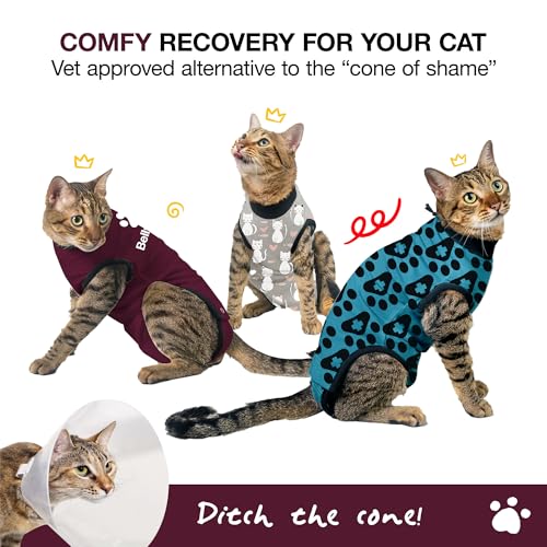 Cat Recovery Suit Female and Male (Maroon / Small)