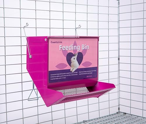 Metal Small Animal Feeder with Lid (4.6 inch / Purple)