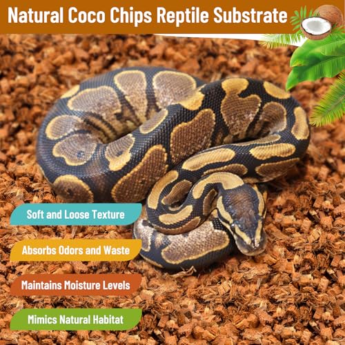 8Pack Coconut Husk Chip for Reptiles (8 pack)