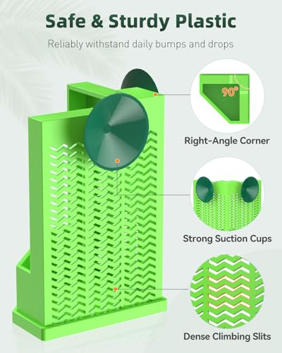 Bearded Dragon Feeder (Corner Mounted Feeding Dish / Small)
