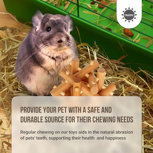 Wooden Chewing Toy for Small Animals (Colorless)