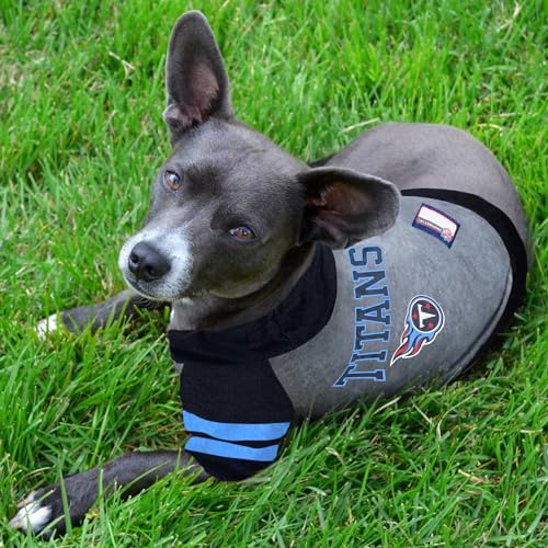 Tennessee Titans Hoodie T (Medium / Tennessee Titans)
