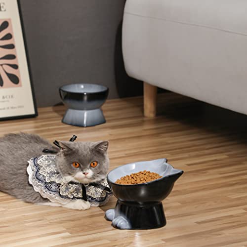Elevated Cat Bowls (6.8 OZ+15.5 OZ / Gray)