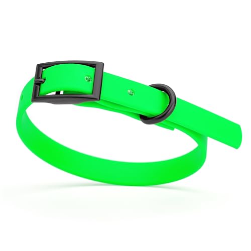 Biothane Waterproof Dog Collar Strong Coated Nylon Webbing with Black Hardware Odor (W1/2" x L9-12" / Tropical Green)