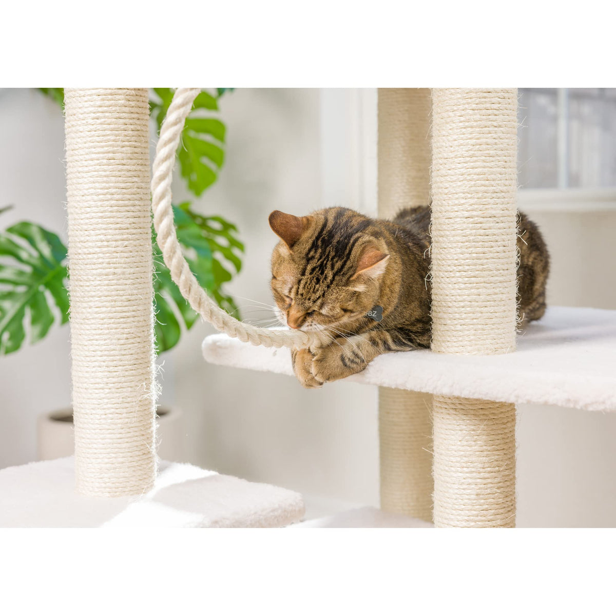 B8201 Classic Real Wood Cat Tree in Ivory
