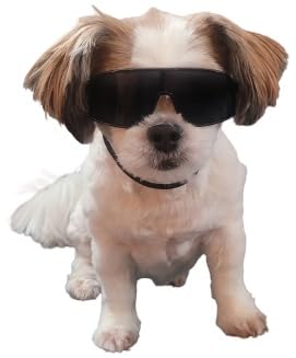 G029 Small Dog Breed 8 (S, 8-18 lbs, Sport Turbo Black)