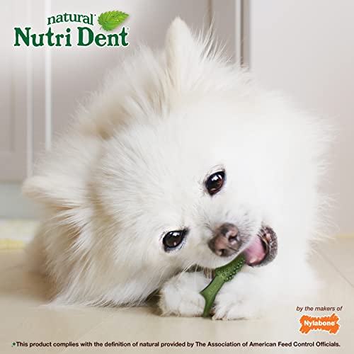 Nutri Dent Dog Dental Treats (1.7 LBS)