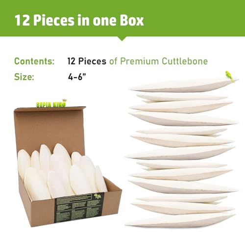 Medium 100% Natural Calcium Supplement