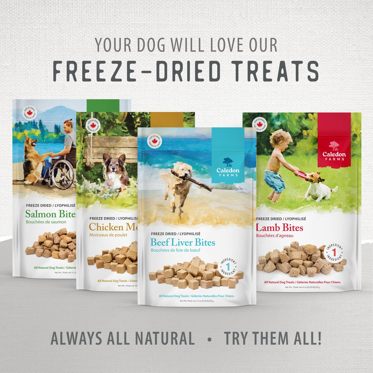 Chicken Morsels Dog Treats (4.4 Ounce (Pack of 1))