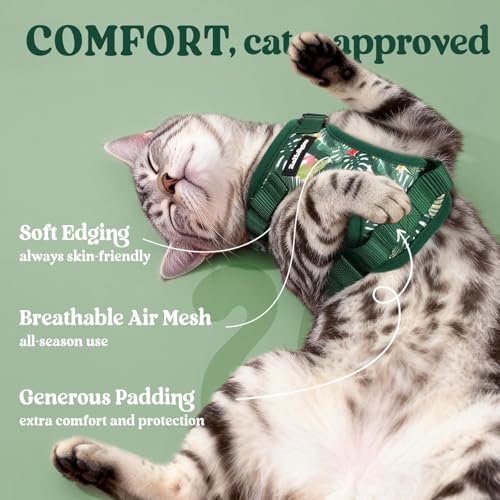 Cat Harness and Leash Set (S / Rainforest Green)