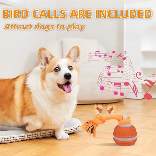 Interactive Dog Toys (A Orange)