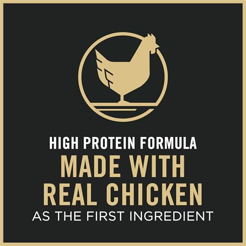 High Protein Cat Food with Probiotics
