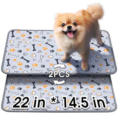 Washable Pee Pads for Dogs (Gray / 22 x 14.5")