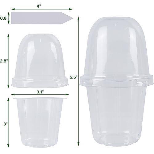 36 Set Nursery Pots with Humidity Dome (Clear)