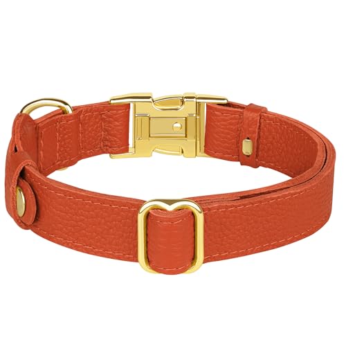 Leather Airtag Dog Collar (Orange / M, 14"-18" Neck Fit)