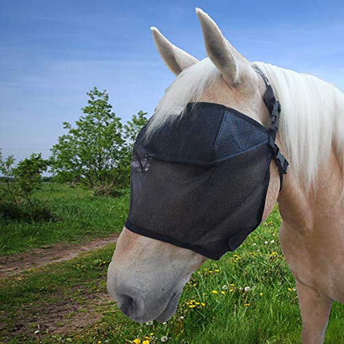 EquiVizor 95% UV Eye Protection (COB)