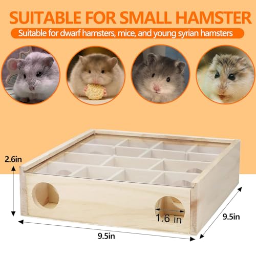 Wooden Hamster Tunnel Maze with Cover (Transparent-top hamster hideaway)