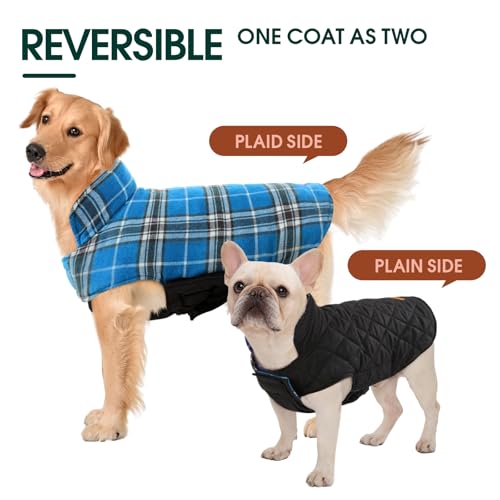 Waterproof Dog Coat (Blue / Small (Pack of 1))