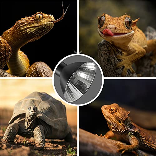 Reptile Heat Lamp G9 Halogen Heat Bulb Dome Reptile Light Fixture (Warm Light / 2 Pack)