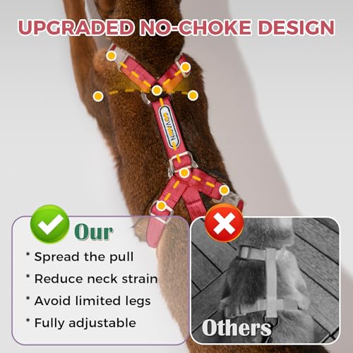 Cat Harness and Leash Set (Red)