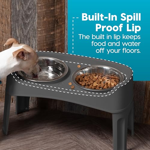 Elevated Dog Bowls (Gray)