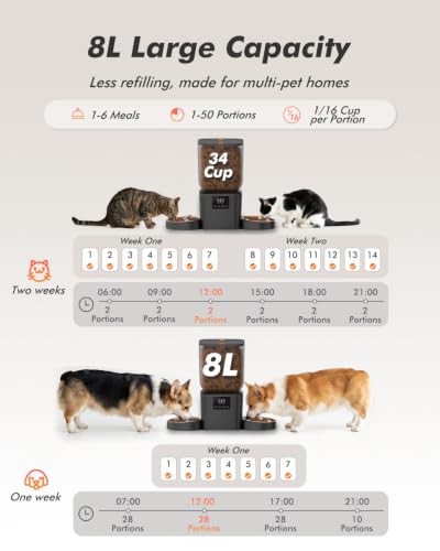 Automatic Cat Feeder for 2 Cats (Matte Black)